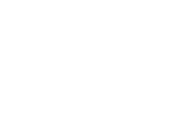 white spider